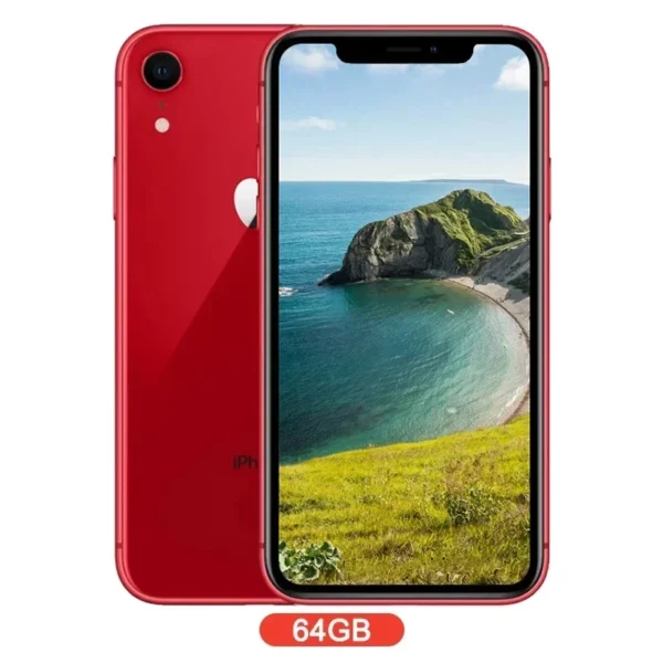 Apple iphone XR 4G ios Smartphone 6.1 pouces 1792 × 828 écran 128GB ROM 2942 batterie toutes les couleurs en bon état téléphone utilisé – Image 9
