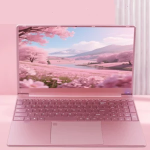 11ème ordinateur portable Intel Celeron N5095 - Windows 10/11, jusqu'à 32 Go de RAM, SSD 2 To, WiFi 2,4 G/5,0 Go, Bluetooth, clavier rose